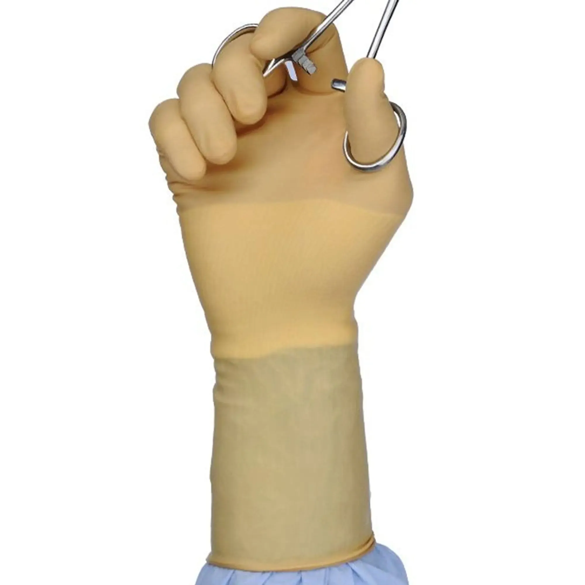 Protexis™ Polychloroprene Surgical Glove, Size 6.5, Ivory